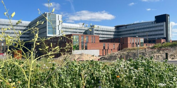 Nyt Aalborg Universitetshospital. Foto: RN.