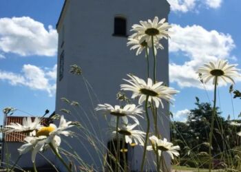 Den 17. september 2024 er der valg til alle folkekirkens menighedsråd. Billedet viser Tornby Kirke.