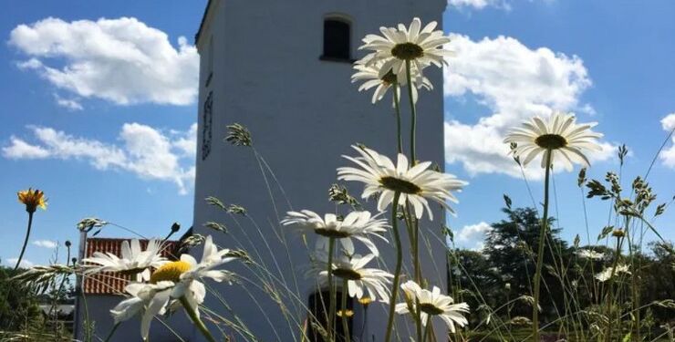 Den 17. september 2024 er der valg til alle folkekirkens menighedsråd. Billedet viser Tornby Kirke.