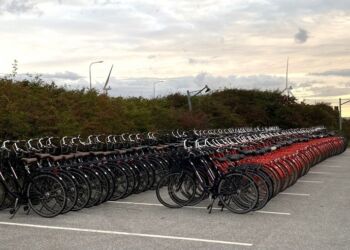 Cykler i rækkevis står torsdag morgen klar til de unge ved Nordsøen Oceanarium. Foto: Anette H. Sørensen.