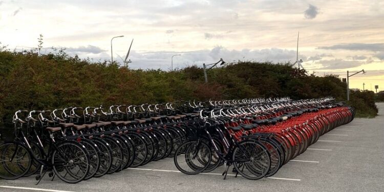 Cykler i rækkevis står torsdag morgen klar til de unge ved Nordsøen Oceanarium. Foto: Anette H. Sørensen.