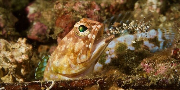 Foto: Niels Østergaard.