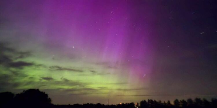 Nordlys 12 800x600