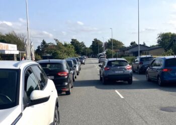 Hjørring Kommunes teknik- og miljøudvalg har besluttet at gøre Tannisbugtvej væsentlig smallere. Foto: Palle W. Nielsen