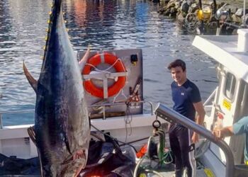 Foto: Fiskerimagasinet.