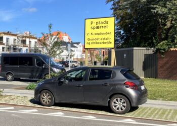 P-pladsen på Mammutpladsen åbner igen fredag den 6. september. Foto: Palle W. Nielsen