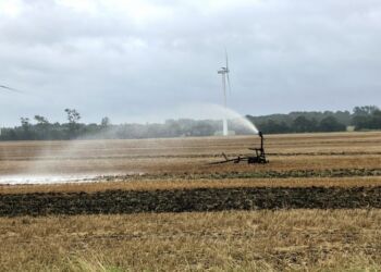 Der vandes i regnvejr på marken et sted mellem Taars og Sindal. Foto: Palle W. Nielsen