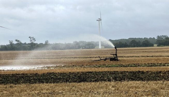 Der vandes i regnvejr på marken et sted mellem Taars og Sindal. Foto: Palle W. Nielsen