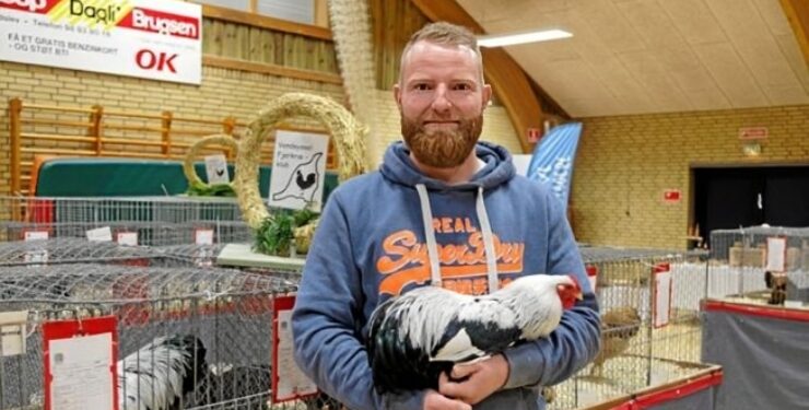 Dennis fra Sindal har tidligere udstillet racehøns. Arkivfoto.