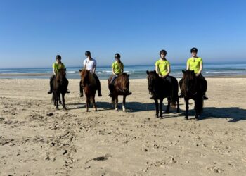 Foto: Hjørring Kommune.