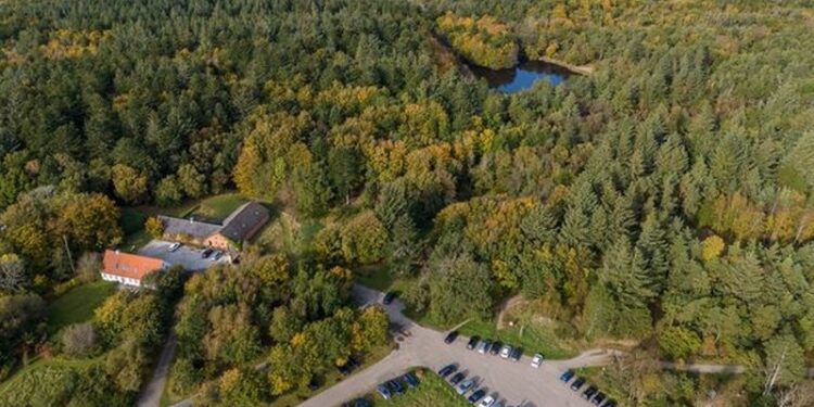 Tverstedsøerne. Foto: Henning Larsen.