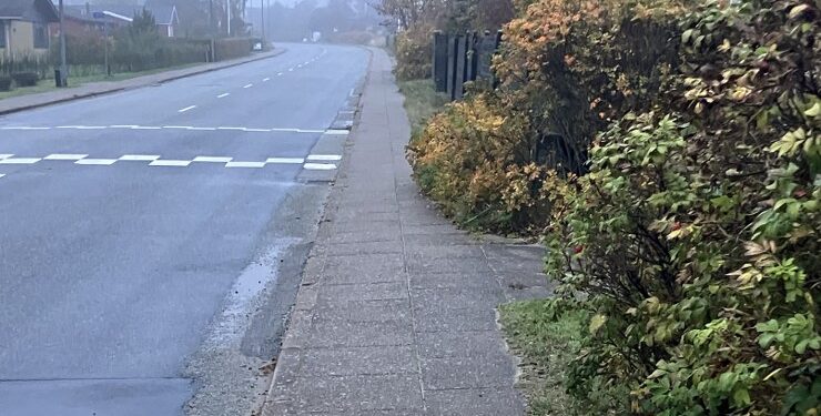 Jeg ved, at det kan være en ”varm kartoffel”, men de som har matrikler ud mod Tannisbugtvej, har inddraget kommunens areal til beplantning eller plankeværk, skriver Helle Glettermann. Foto: Palle W. Nielsen