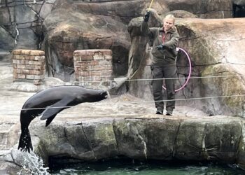 Aalborg Zoo blev besøgt af Friskolen Skallerups daginstitution SøLøVen. Privatfoto