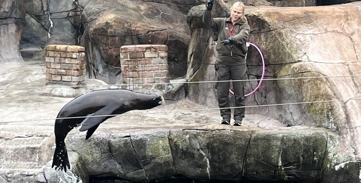 Aalborg Zoo blev besøgt af Friskolen Skallerups daginstitution SøLøVen. Privatfoto