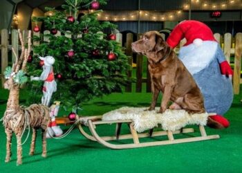 Arkivfoto fra julefotograferingen 2022.