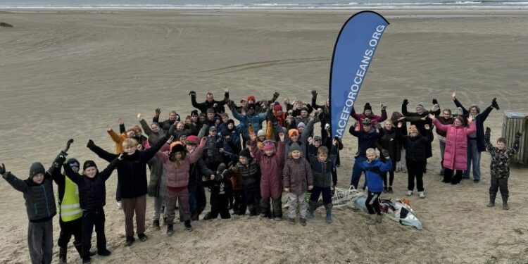 Havet 1 800x572