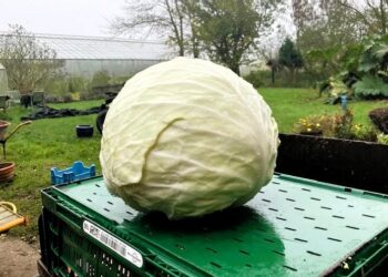 Foto: Svenning Christensen.