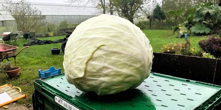 Foto: Svenning Christensen.