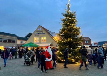 Juletræet på Den Grønne Plads i Hirtshals. Foto: Niels Skipper.