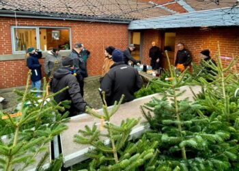 Juletraessalg Baptistspejderne 3 800x565