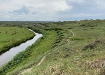Liver Å med udsigt mod syd til Skallerup. Foto: Arkiv.