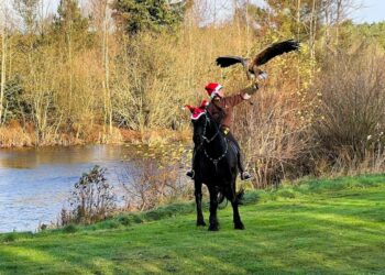 Julestemning i Ørnereservatet. Foto (arkiv): Niels Skipper.