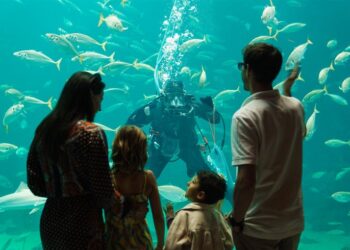 Med et sponsorat til Nordsøen Oceanarium kan du tage gæster med på opdagelse i Nordeuropas største akvarium og få en unik placering og eksponering af din virksomhed. Pressefoto