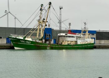 Bomtrawler ved Frysehuskajen i Hirtshals Havn. Foto: Niels Skipper.
