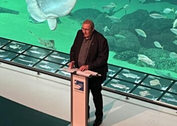 Jørgen Christensen hos Nordsøen Oceanarium. Foto: Privat.