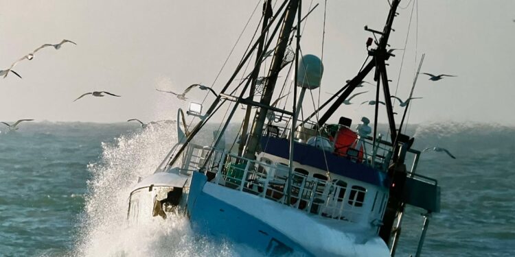 Foto: Tommy Andersen.