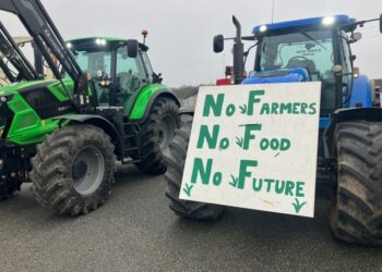 Landbruget er en udsat branche i den grønne omstilling. Foto. Palle W. Nielsen