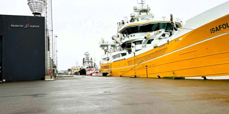 Her ses HG 333 Isafold ved kaj ud fro rederiets domicil i Hirtshals Havn. Isafold er et af de rederier, der er organiseret i Danmarks Pelagiske Producentorganisation (DPPO). Foto: Niels Skipper.