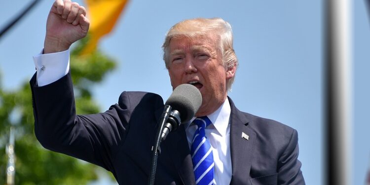 Donald Trump. Foto: Pixabay.
