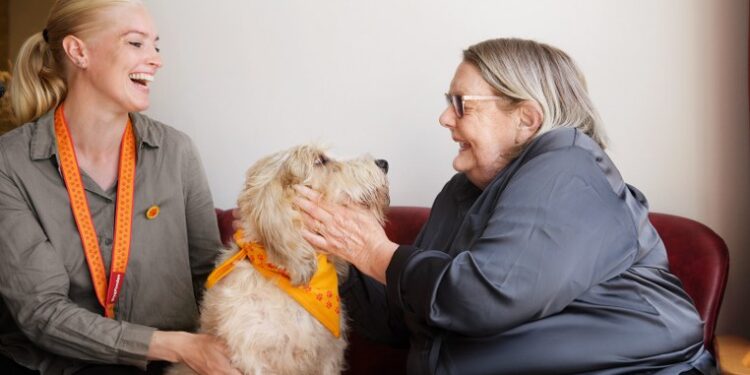 Foto: TrygFonden Besøgshunde.
