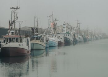 Tåge på Hirtshals Havn. Foto: Arturs Pirazkov.
