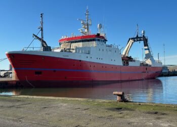 MV Vilkas i Hirtshals Havn. Foto: North Atlantic Shipping.