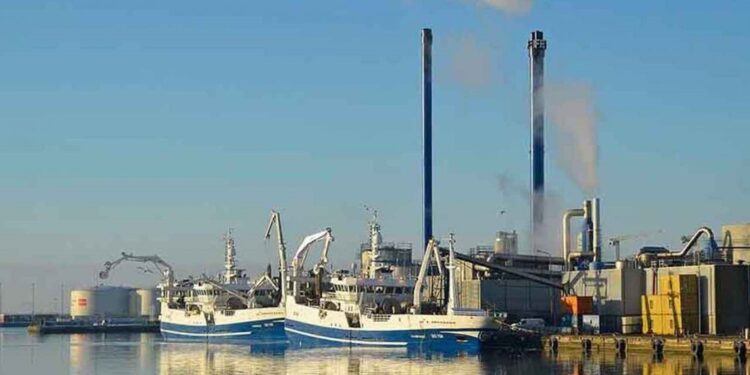 Foto: Skagen Havn.
