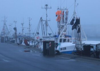 Tåge på Hirtshals Havn. Foto (arkiv): Henrik Woodpek.