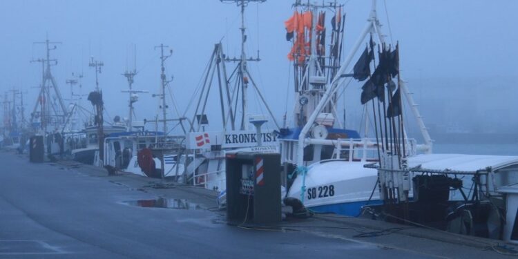 Tåge på Hirtshals Havn. Foto (arkiv): Henrik Woodpek.