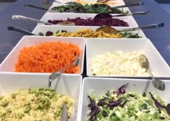 Hjørring Kommunes Den Store Klimarejse står bag endnu en grøn festival i kommunen. Pressefoto