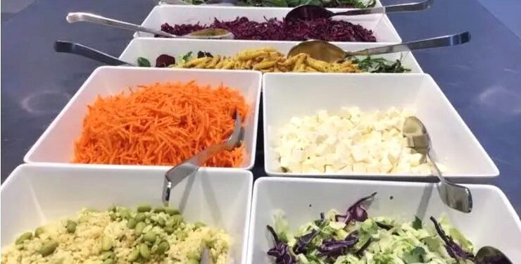 Hjørring Kommunes Den Store Klimarejse står bag endnu en grøn festival i kommunen. Pressefoto