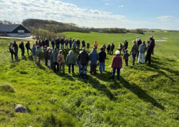 Flere end et halvt hundrede interesserede deltagere mødte frem til søndagens guidede tur ved Asdal Voldsted. Foto: Niels Skipper.