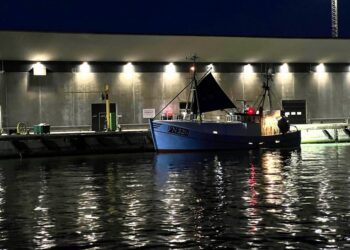Fartøj losser ved Hirtshals Fiskeauktion. Foto: Niels Skipper.