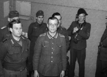 Her ses nogle af de tyske Gestapofolk bevogtet af frihedskæmpere. Foto: Aalborg Stadsarkiv.