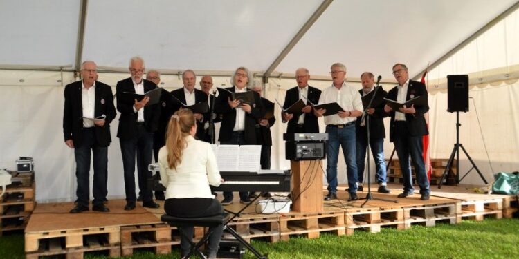 Foto: Viborg Mandskor.