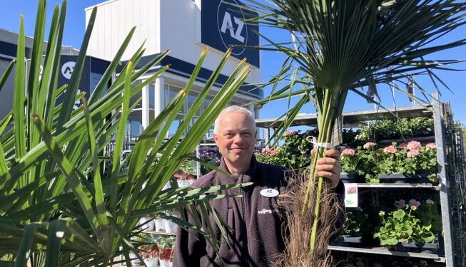 Christian snupper en pause under palmerne til ære for fotografen. Foto: Palle W. Nielsen