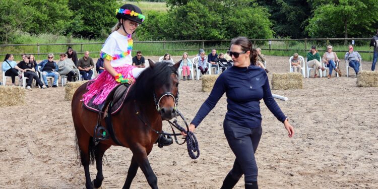Hestenes bedømmelse på ridebanen. Arkivfoto.
