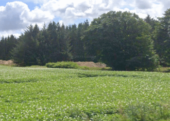 Området med Astrup Grundvandspark og Kildeplads. Privatfoto.