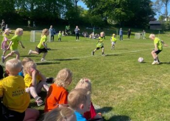 Vejret var perfekt, og alle både spillere og tilskuere bidrog til den fantastiske stemning. Privatfoto.