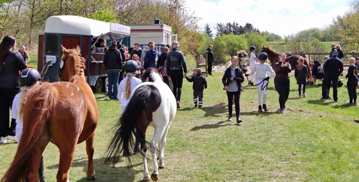 Soldalens Dyrskue, der var det første, som Soldalens Rideklub arrangerede, blev en kæmpe succes.